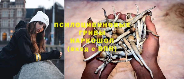 не бодяженный Аркадак