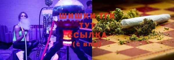 крисы Армянск