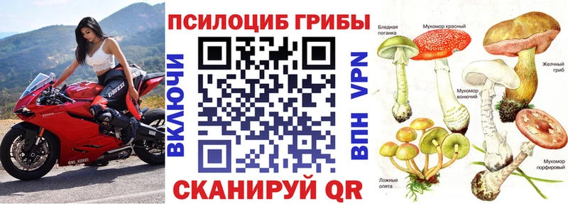 Галлюциногенные грибы Psilocybine cubensis  Белово 